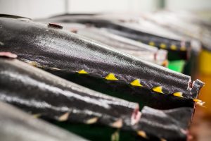 All You Need to Know About Tuna Grading | Samuels Seafood