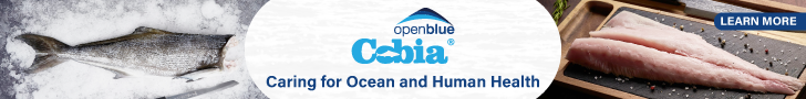 Open Blue Cobia