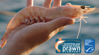 Australian Ocean King Prawn Company